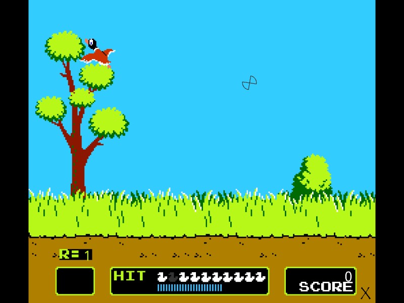 Duck Hunt